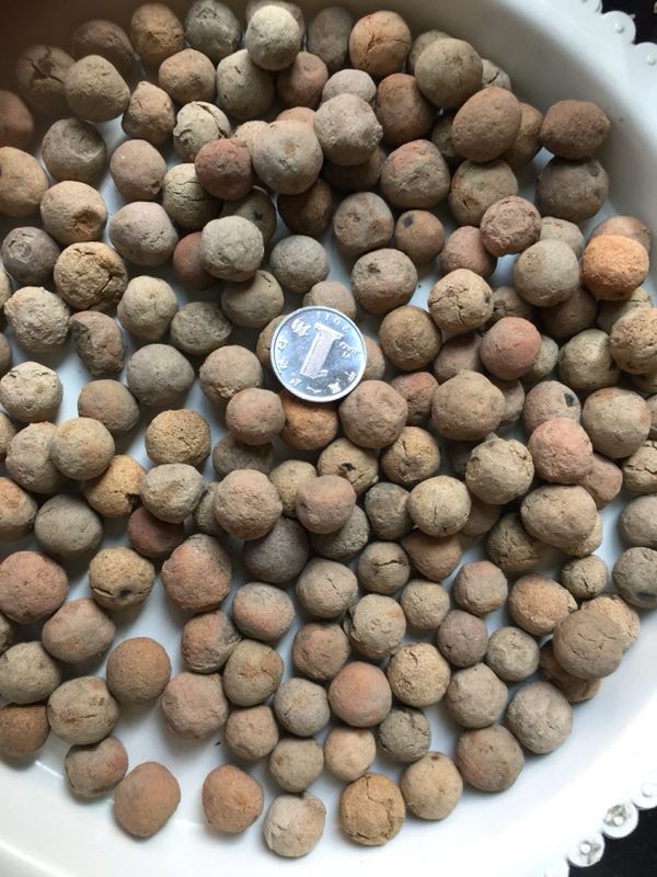 水處理生物陶粒濾料